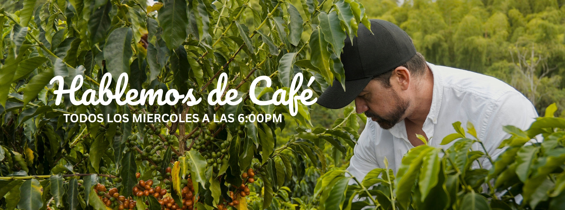 Hablemos de Café: nuestra cita semanal con el origen