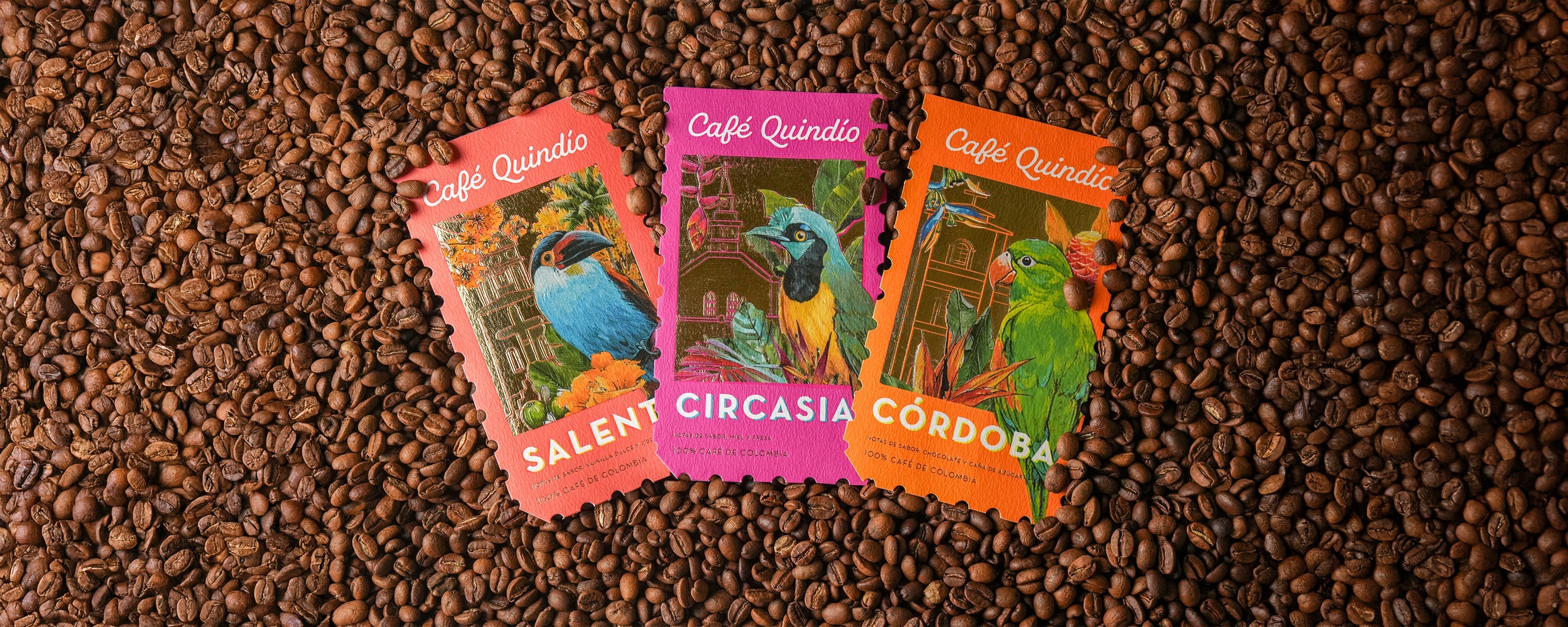 Tres Regiones, Tres Sabores: La Nueva Colección que Debes Probar