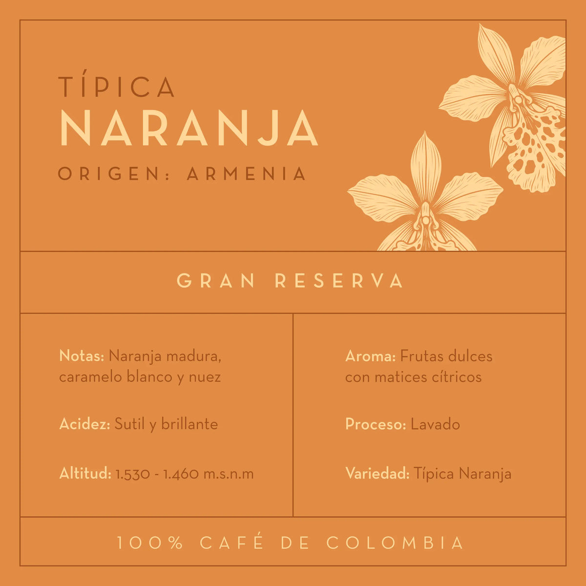 Café Típica Naranja