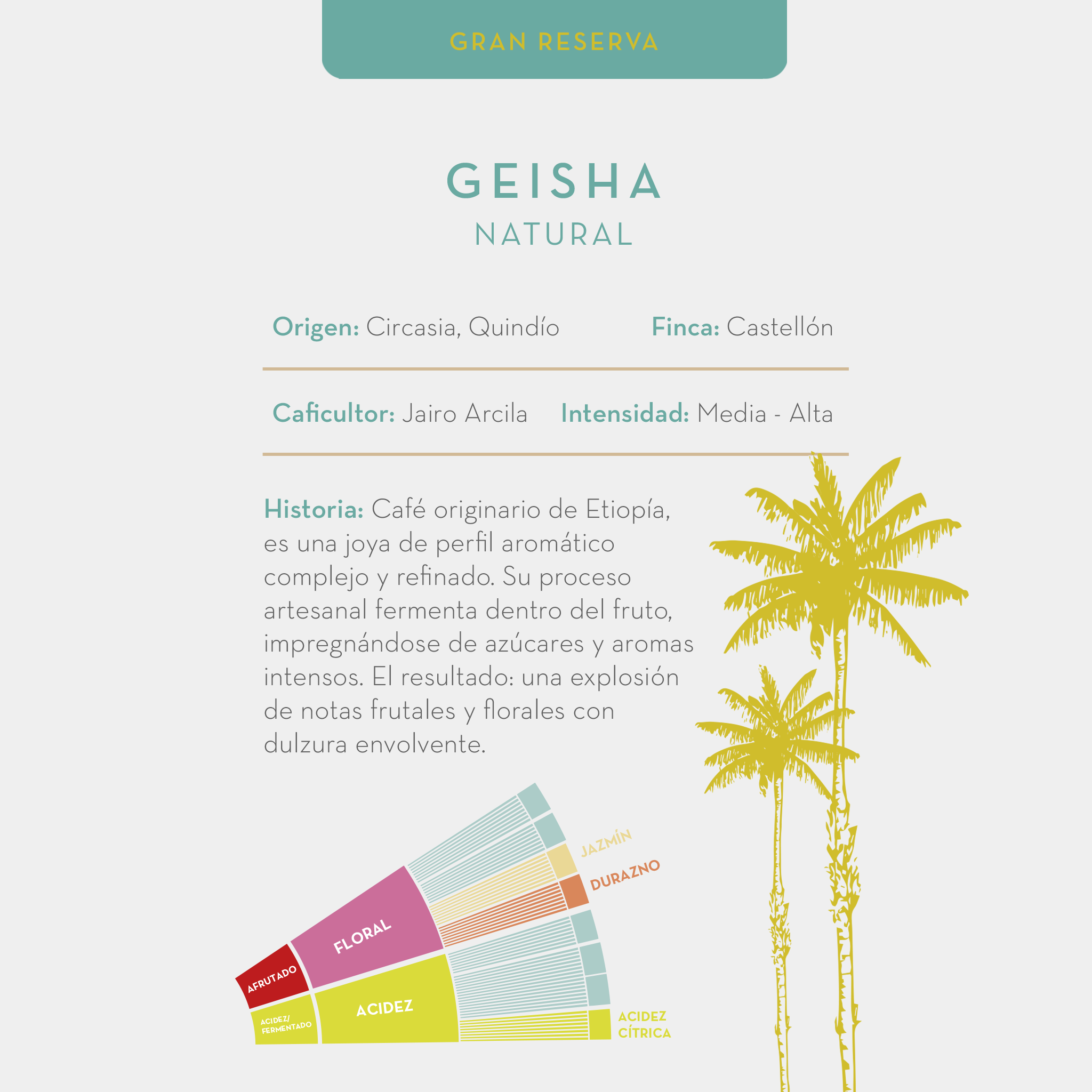 Café Geisha
