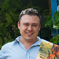 Imagen del botón