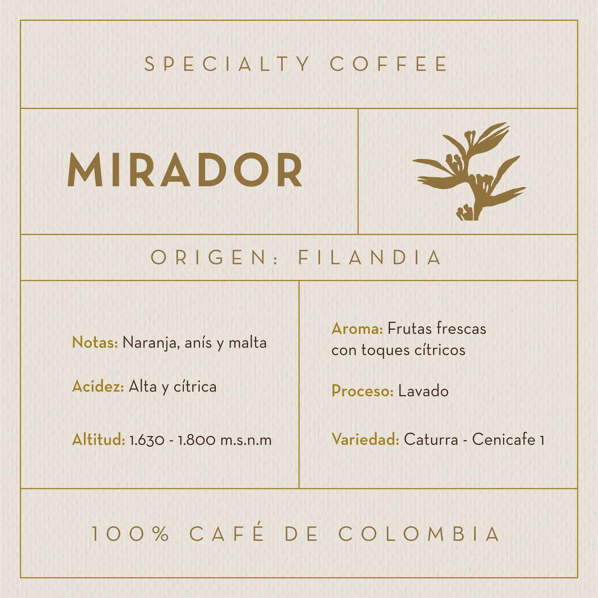 Café Mirador