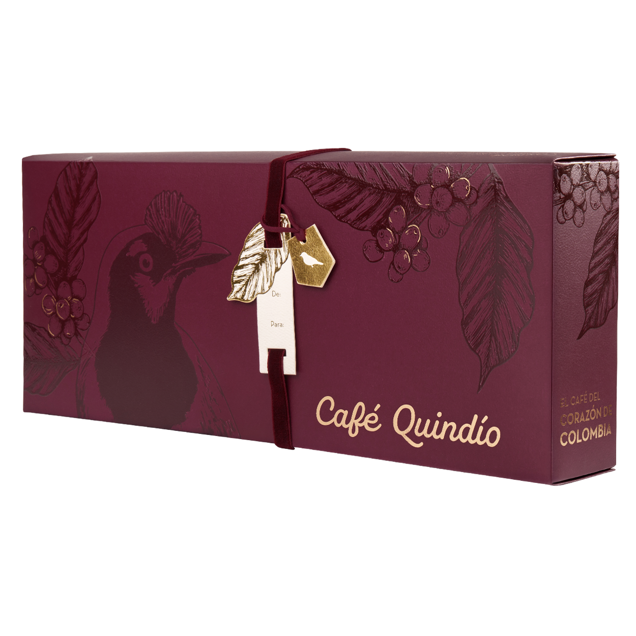 SET BARRANQUERO VELVET